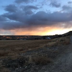 Meet your Posher, Cael